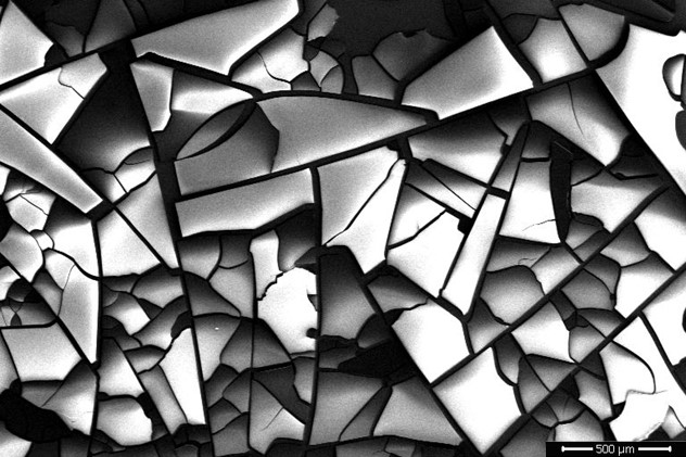 OPNmagazine's tweet photo. Image of the Week: Molecular Picasso

A scanning electron micrograph of the kaleidoscopic crystallization of fluorescent proteins evokes Picasso’s cubism.

Read more here: https://t.co/Z5qHTs8L22

#molecular #picasso #electron #micrograph #kaleidoscopic #crystallization https://t.co/x02HNcDeoq