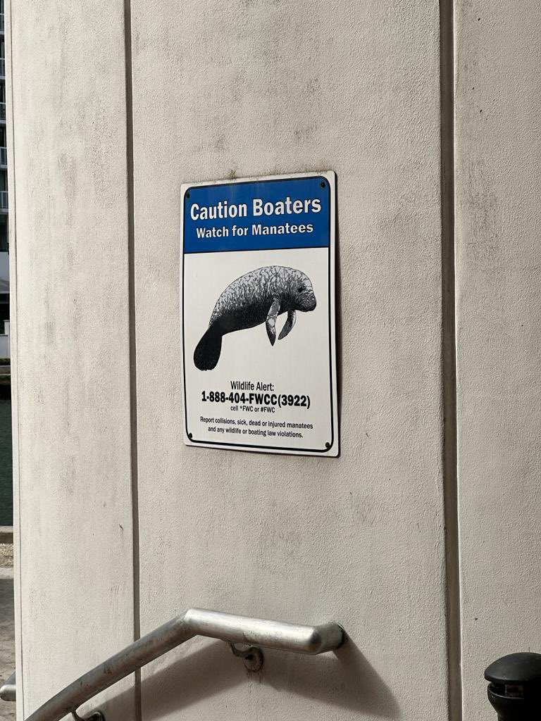 SavIsSavvy's tweet photo. I’m repping #AmplifyNow at #OPEXWeek and we’re not offering any cheap swag, instead we’re donating to @savethemanatee, a nonprofit that saves the manatees (including those just outside the @hyattregency here in #Miami) #swagstainable #giveback https://t.co/0nbLNMSe1y