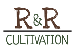 RRCultivation's tweet photo. Our competitive wholesale pricing was established for restaurants like yours! If you’re interested in receiving a sample kit or placing an order for our gourmet mushrooms, please contact us online or call R&amp;R Cultivation’s founder, Nick Robinson. https://t.co/UAEjLiYETa https://t.co/O8Hw2e9EeI