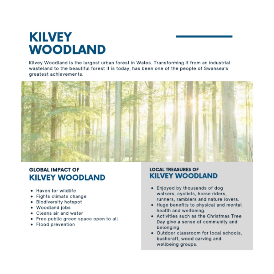 Swansea MAD tweet media