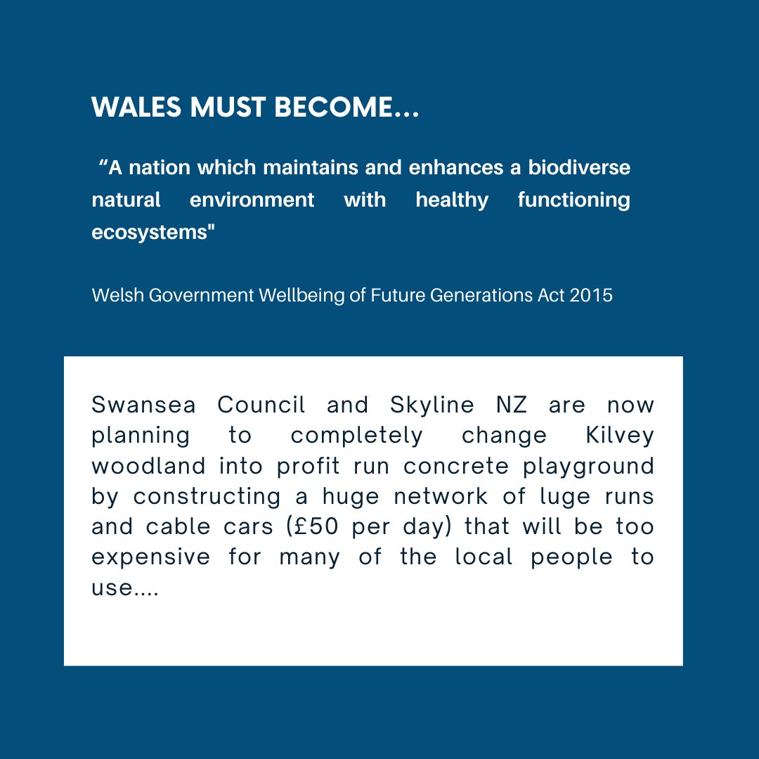 Swansea MAD tweet media