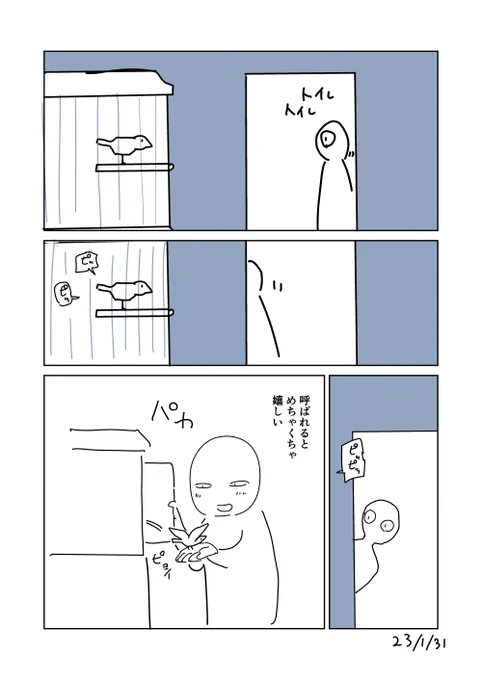 文鳥絵日記23/1/31 