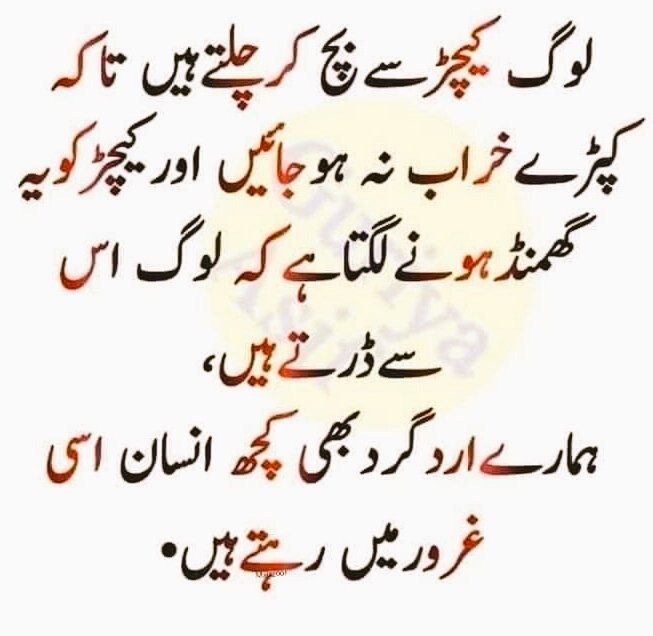 86SPK's tweet image. 