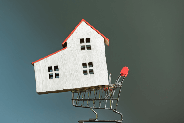 Tazu_immo's tweet photo. Comment réaliser des dizaines de milliers d'euros rapidement grâce à l'immobilier ?

C'est (à mon avis) la stratégie à adopter quand on est jeune et qu'on souhaite débuter dans l'immobilier.

C'est la stratégie qui fait passer un cap pour les plus expérimentés. https://t.co/Tta0BesR9W