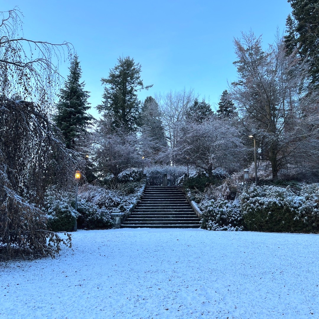 uidaho's tweet photo. 134 years and still leading. Happy Founding Day #uidaho

📸 Original U of I Administration Building (1891-1906) &amp; Memorial Steps (assembled from the original Administration steps in 1932) https://t.co/2i2IN4DMRq
