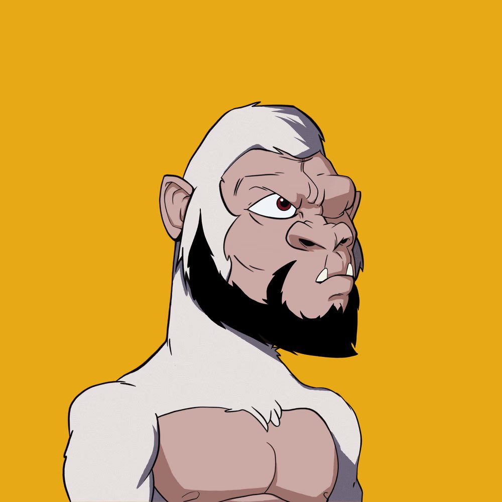 Mike Fogg tweet media