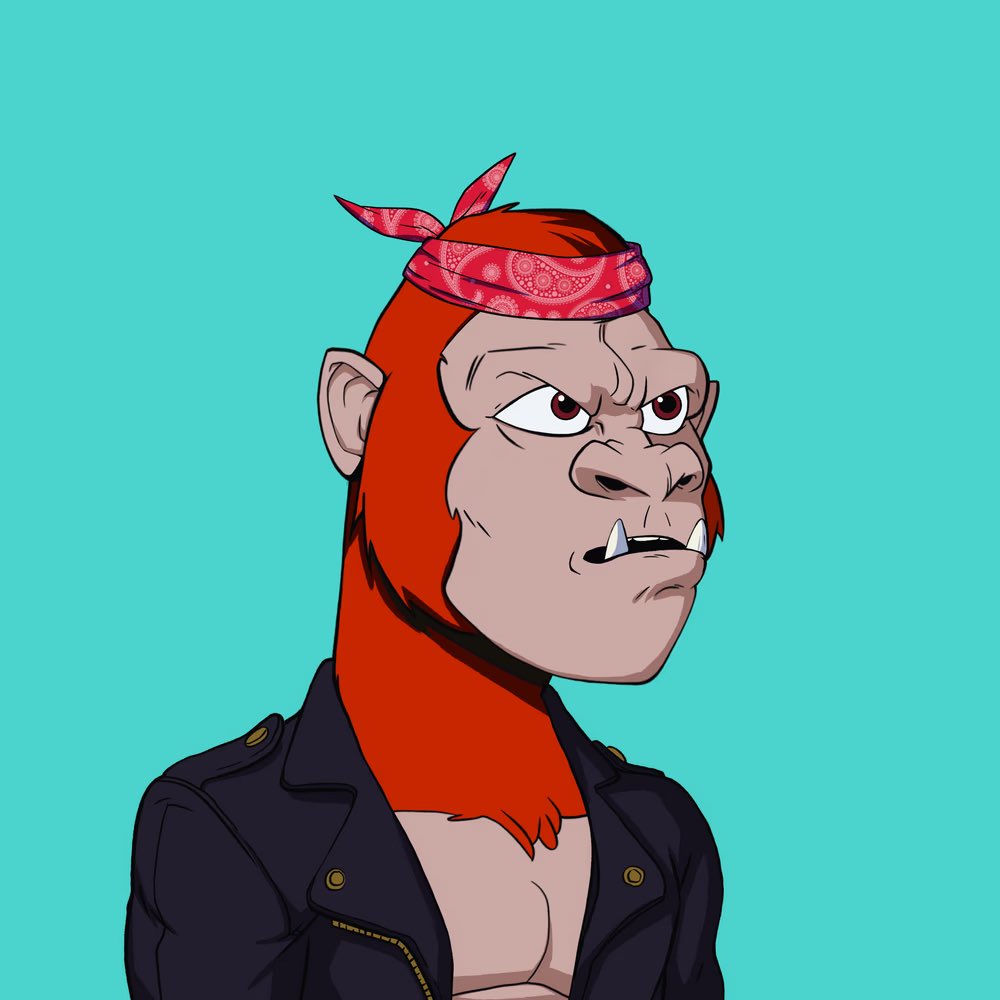 Mike Fogg tweet media