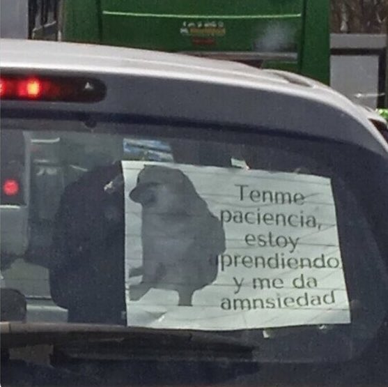 Yai_Castle's tweet photo. @youarenotlaw Yo optaría más por algo así. https://t.co/rnAR2zCbWJ