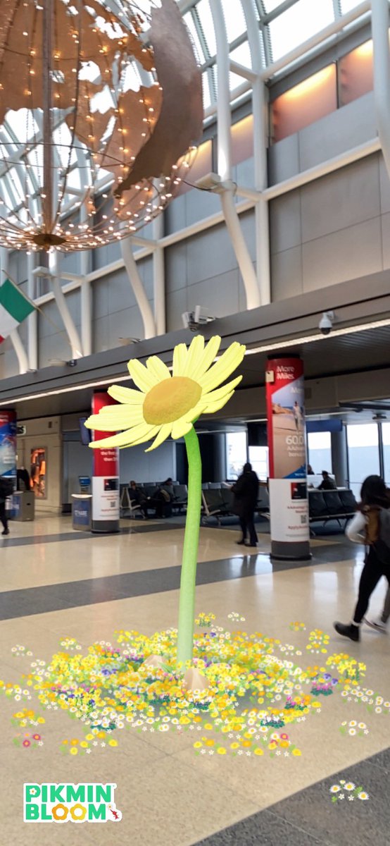 JohnnyTourz's tweet photo. #PikminBloom Weekly Lookback!
#Niantic #Pikmin #SomethingNew #NianticAR #CommunityDay #NewMushroomAttack #10KDays #10KADay #10K #ピクミンブルーム https://t.co/n5v5r54qpa