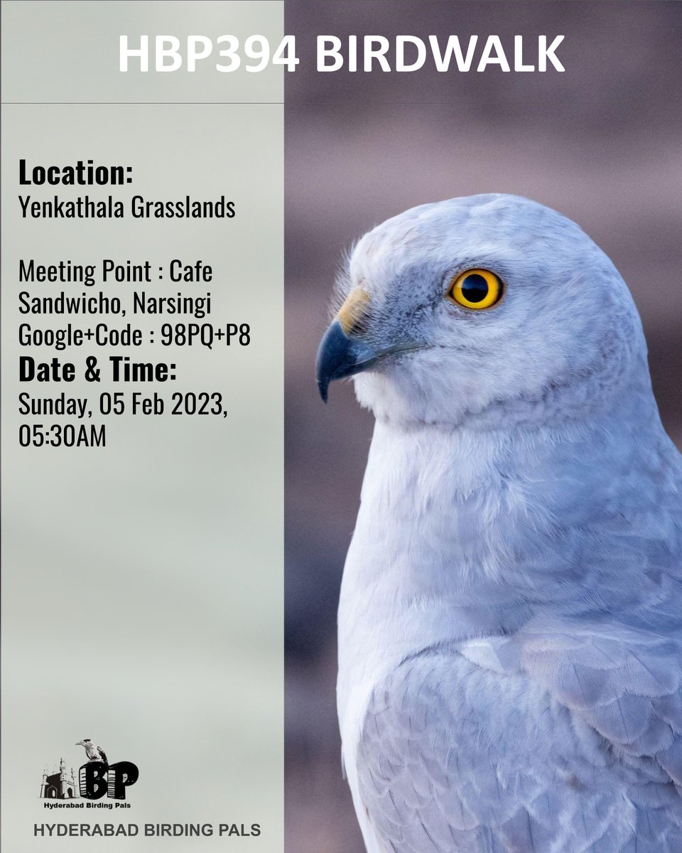hydbirdingpals's tweet photo. #HBP394 at #Yenkathala grasslands on 5Feb 2023
#Yenkathalabirdwalk
#telanganabirdinghotspots
#HBPBirdwalk
#sundaybirdwalks
#birding
#birdinghobby
#hyderabadbirdingpals
#birdwalks
#groupphoto
#birdphotography
#birdphotographers
#birdwatchers
#birdwatchinghobby
#birdwatching https://t.co/9tdY3DsMNm