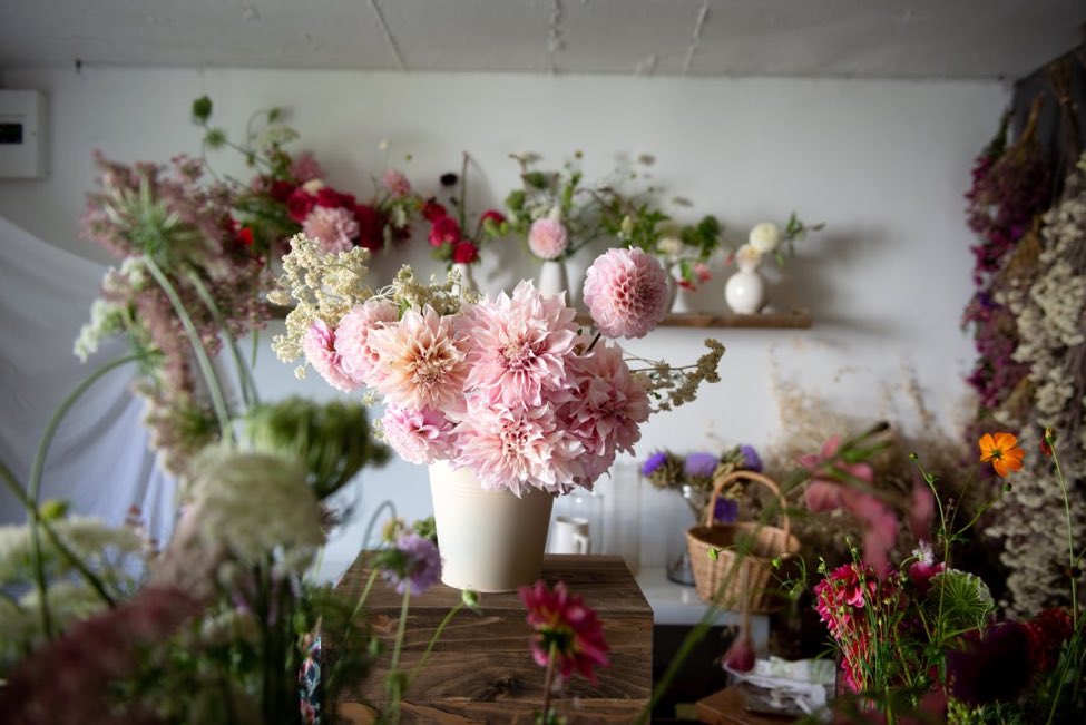 krugersville's tweet image. I love how Susie and Tarryn flourished this flower life together , its rare to find someone who has the same interest like you and share the adventure together 🥹🥹🥹 #TheInsiderSA