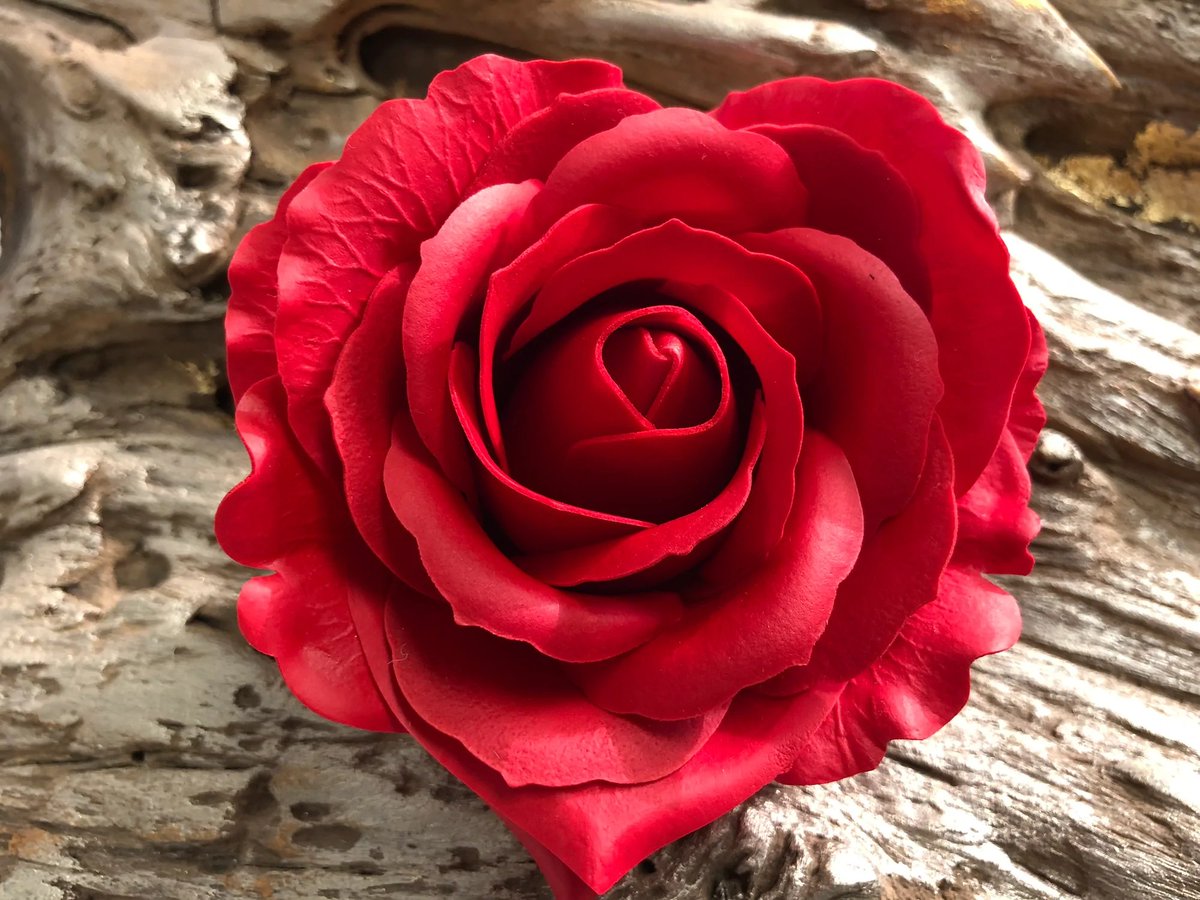 SteinFlorist's tweet photo. “Open the bloom of your heart and become a gift of beauty to the world.” – Bryant McGill
.
.
#steinyourflorist #steinflorist #flowers #florist #smallbusiness #shopsmall #shoplocal #philadelphiaflorist #phillyflorist #NJflorist #rose #heart #flowerquote #BryantMcGill #bloom https://t.co/IgeIL3CjkB