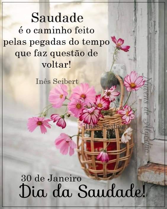 Marcia Ol🚩 on Twitter: Marcia Ol🚩 on Twitter: