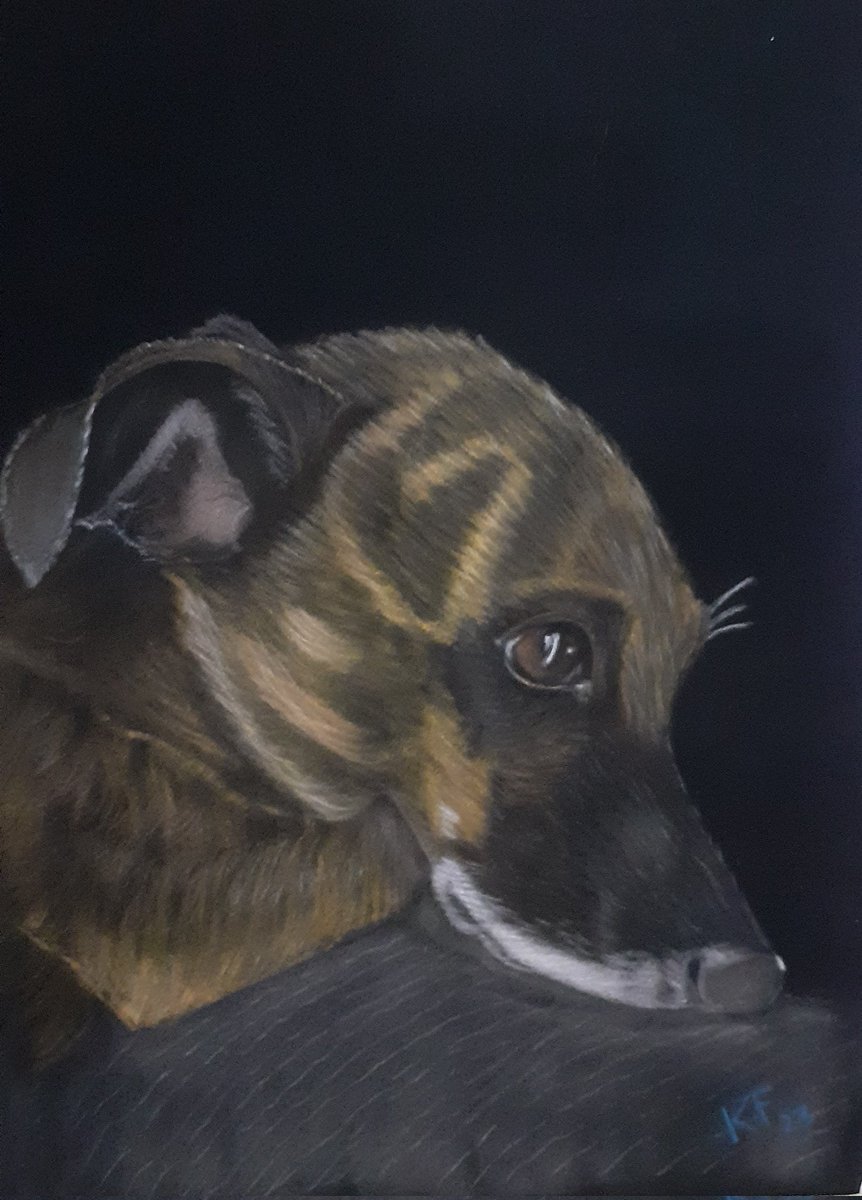 Latest commission going to 🇦🇺 I sm Pawcasso #pets #art #DogsofTwittter