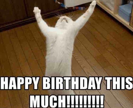 I am is birthday today !!
