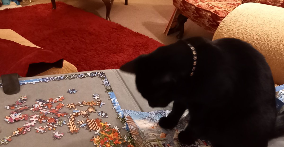 convent_cat's tweet image. Im very keen on piecing things together. Sometimes we do jigsaws in the evening #conventlife #conventcat