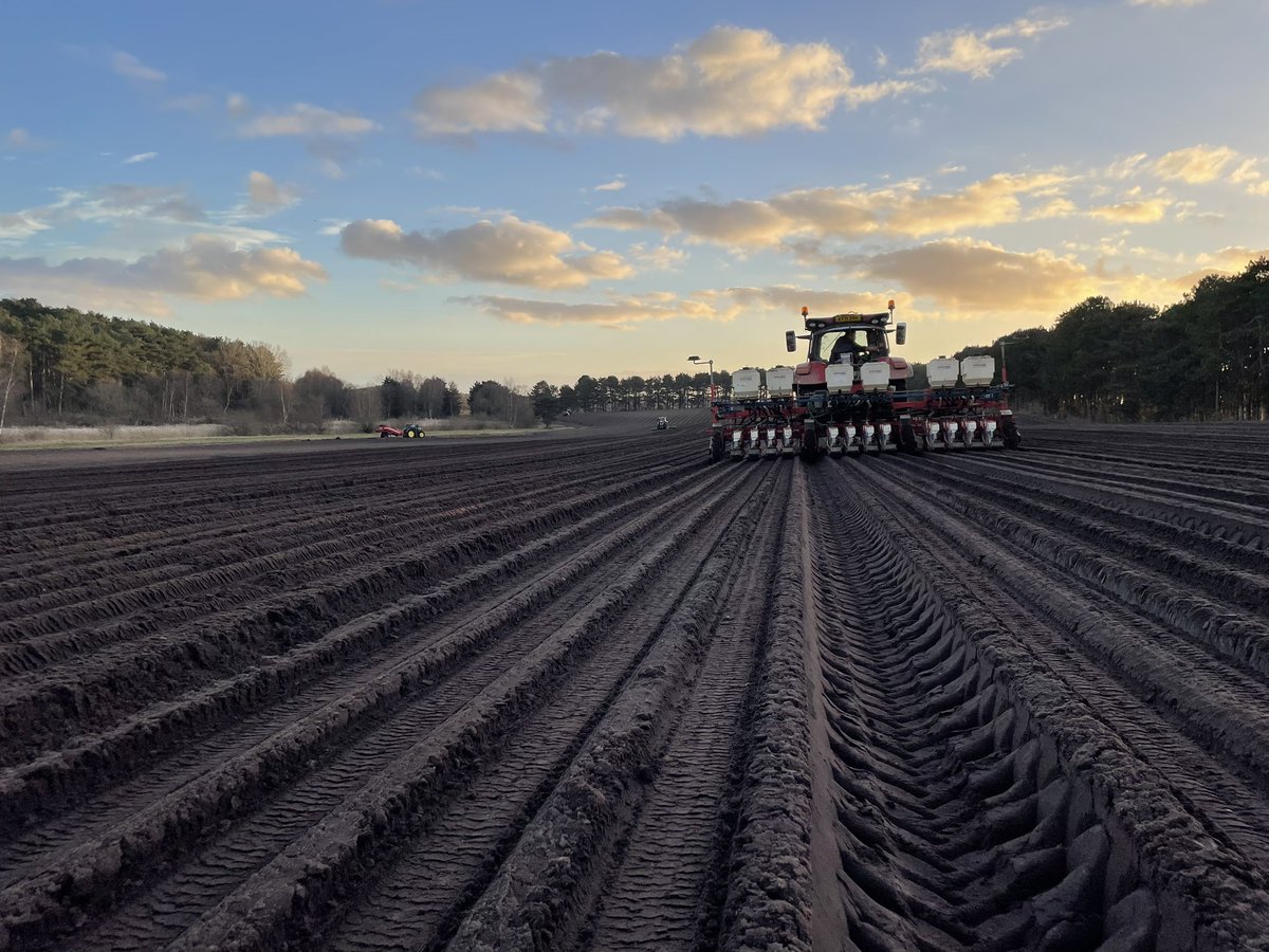 Great to be back out planting. A bit of sun and wind makes a huge difference 👍