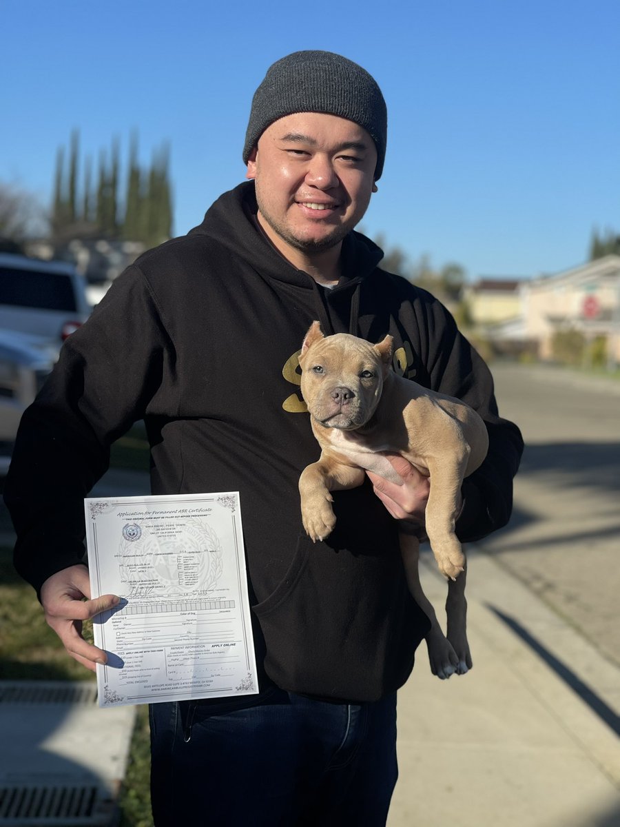 BoltedBrodie's tweet photo. OB1 Headed To SouthCity Sf 🍾🍾🍾🍾🍾🍾🍾🍾🍾🍾🍾 • #RIGHTEOUSRAGNARKENNEL #BRODIEBREED #HealthyDogs #HereToLearnHereToHelp #Dogs #Pups #Puppie #UKC #REGISTERED #BULLYWORD #BeGreat #GreatDogs #TreatYourDogRight
#GODISGREAT #GodIsGood #CuteDog #DogTraining #RawDietPup #Raw https://t.co/DHNYcsRO1q