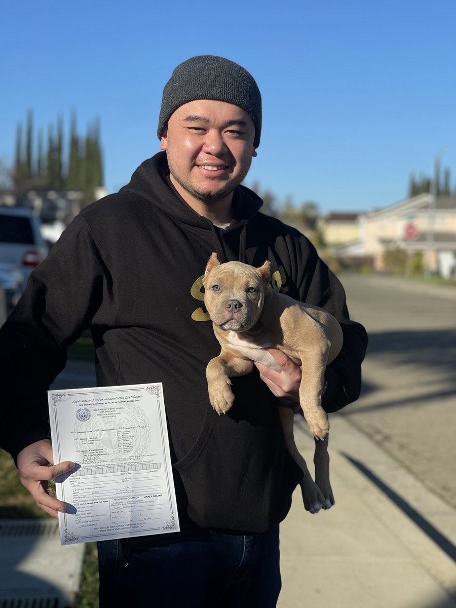 BoltedBrodie's tweet photo. OB1 Headed To SouthCity Sf 🍾🍾🍾🍾🍾🍾🍾🍾🍾🍾🍾 • #RIGHTEOUSRAGNARKENNEL #BRODIEBREED #HealthyDogs #HereToLearnHereToHelp #Dogs #Pups #Puppie #UKC #REGISTERED #BULLYWORD #BeGreat #GreatDogs #TreatYourDogRight
#GODISGREAT #GodIsGood #CuteDog #DogTraining #RawDietPup #Raw https://t.co/DHNYcsRO1q