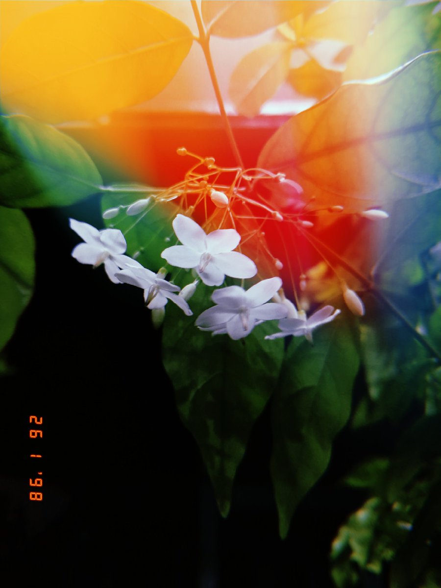 nailajaa's tweet photo. ดีจังงงงงง❤️🧡 https://t.co/Y0FlEDLkLp