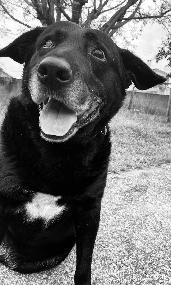danniibatista's tweet photo. Ontem foi um dos dias mais tristes pra mim, mas tenho certeza que agora eu tenho mais uma estrelinha cuidado de mim lá de cima ⭐️🖤 https://t.co/uTEHbT94Ro