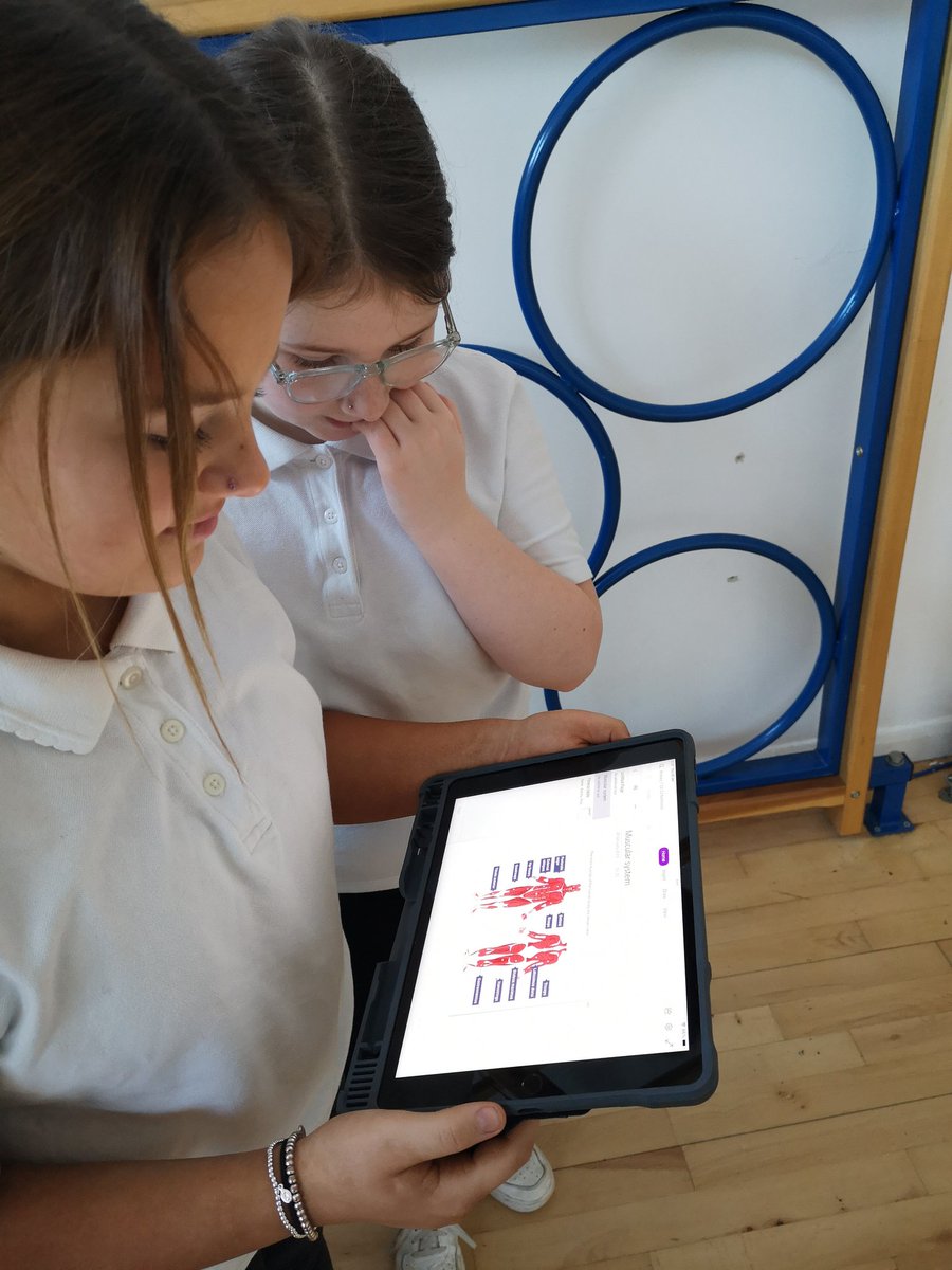 KincaidstonPS's tweet photo. P7 developing their understanding of the muscular system and evaluating their fitness levels #digitallearning #fitnessfans https://t.co/ofFrKxt9w9