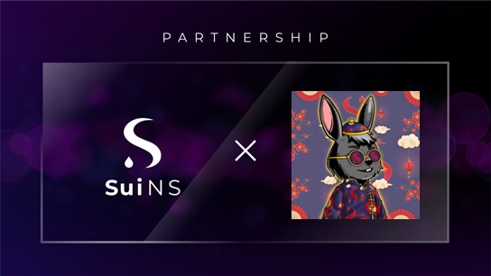 Announcing our partnership with @LootRydersClub!

The Loot Ryders are quiet talented. First the PFP they created for our collaberation is🔥. We could not be more impressed and are excited to have them build on #sui! The team will be integrating our services, and we can't wait!