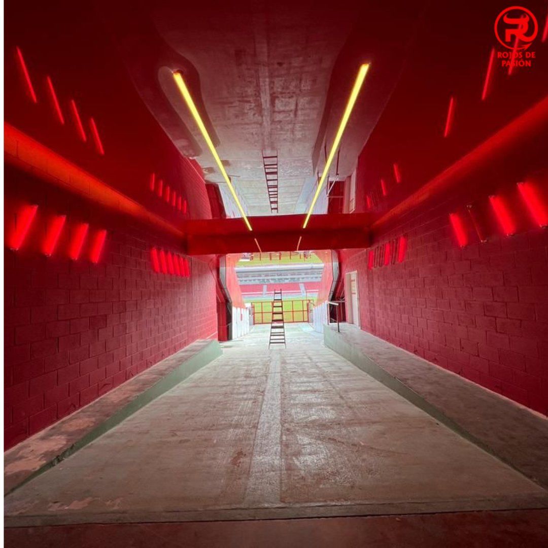 Lezka 🇦🇹 tweet media