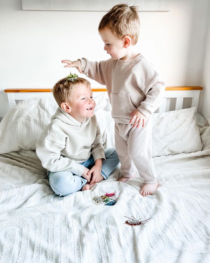 HEXBUG UK tweet media