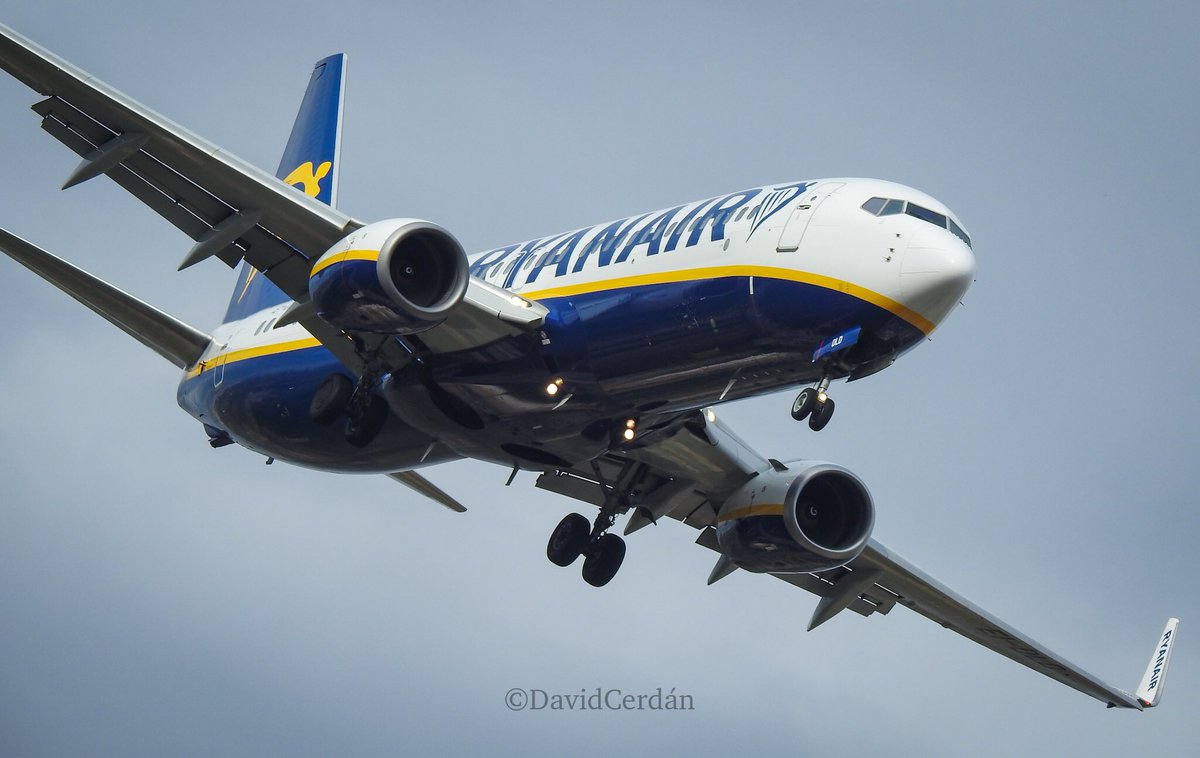 David Cerdán tweet media