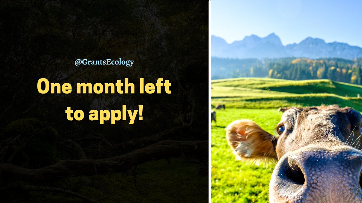 GrantsEcology's tweet photo. 📢 Less than a month left to apply for the Albert R. and Alma Shadle Fellowship in Mammalology from The American Society of Mammalogists.  Apply for up to $4000.  Deadline: 2023-03-01

🔗 https://t.co/boYcJWWiGN

Please RT

#AcademicTwitter @PhDVoice https://t.co/9gcrg3LFY2
