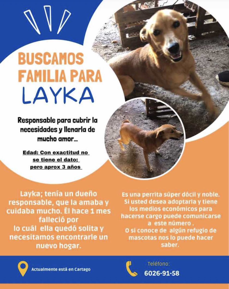 netosis (@larifranco21) on Twitter photo 