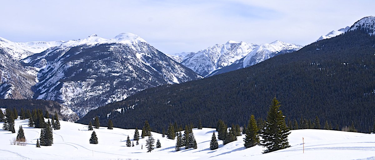 Dr Joseph M. Feagan tweet media