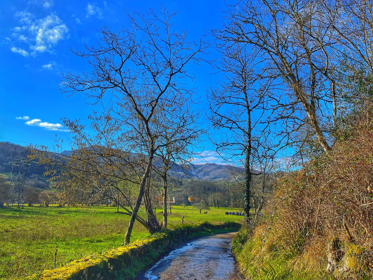 katiamartin86's tweet photo. No se que me gustan más los lunes o los 👋 grados de calor que tenemos ahora en Asturias 😆😆 #ilovemondays #5grados #9kms #workoutdone #lesionderodilla #WinterIsComing https://t.co/uRkmMCalBL