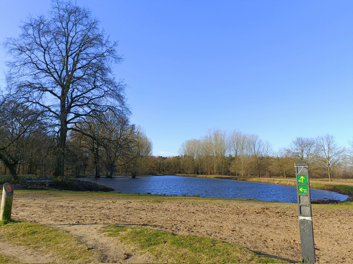 BartH84646685's tweet photo. Waterwinbossen op de Grens Nederland/België - Sint-Jansteen/Stekene. 11.30U Bart Hofman #vrtweer #opwandel #outsideisfree https://t.co/MK5CuSeHun