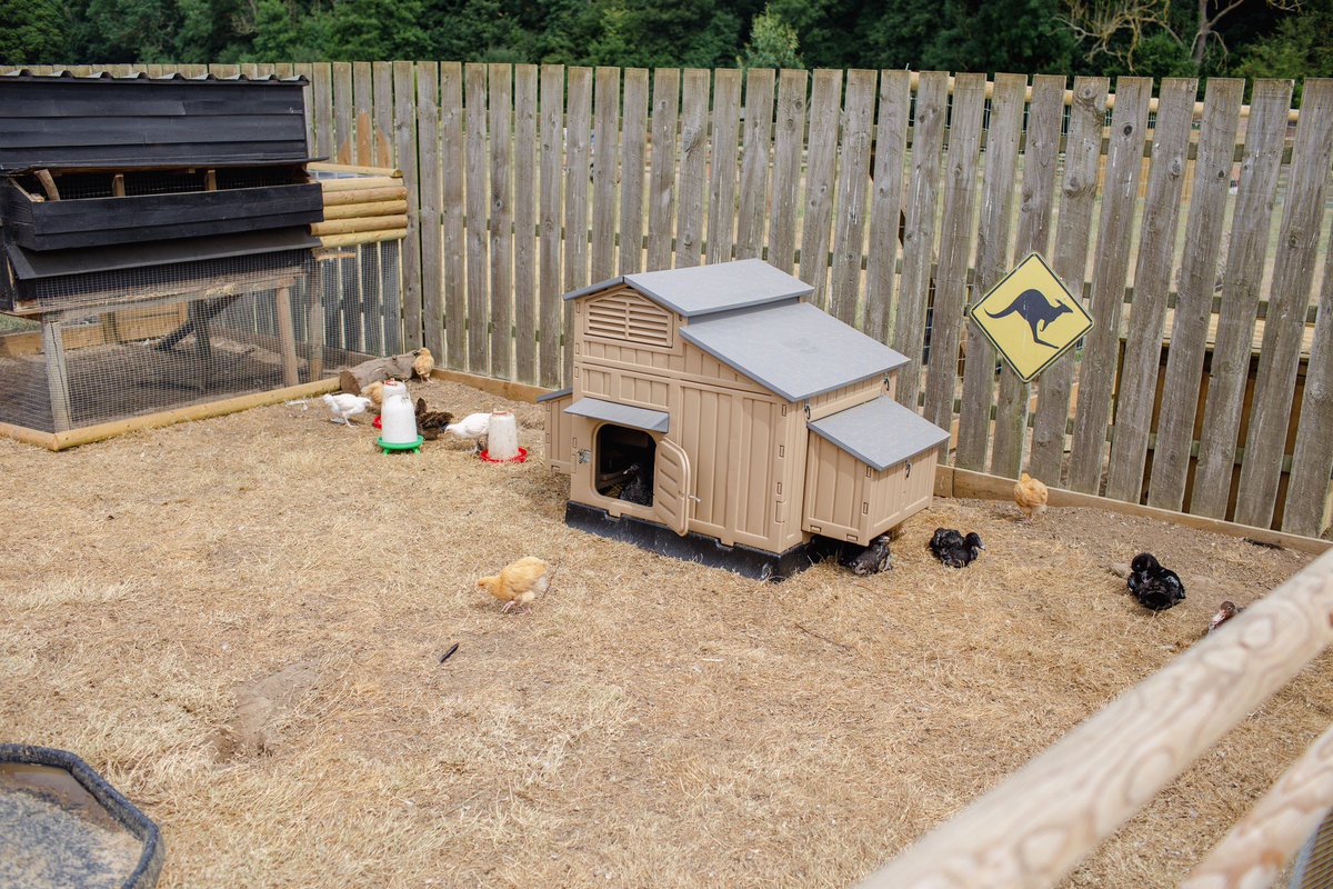 🌟SPOTTED🌟👀
•
🐓Our large Clever Coop at <a href="/jimmysfarmhq/">Jimmys Farm & Wildlife Park</a> <a href="/jimmysfarm/">Jimmy Doherty</a> back in the summer when chickens were allowed to roam🐓
•
Oh how we miss those days. 😢
•
Have you spotted our coops whilst out and about?  Tag us and share the love 💕 
•