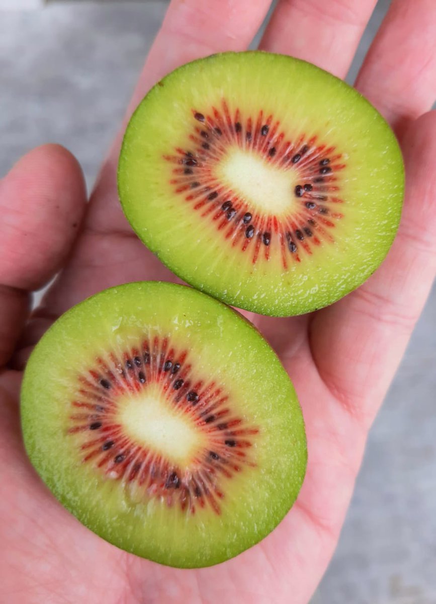HABwholefoods's tweet photo. We have these fantastic red heart kiwi in today. Super sweet, sweeter even than golden kiwi and pretty as can be.
#italianfruit #extratasty #trysomethingnew https://t.co/Ufk59YhV7t