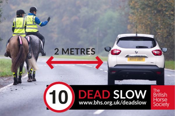 EquiBusiness's tweet image. The British Horse Society, with support from GB Paralympian and BHS Ambassador Natasha Baker OBE, is calling for more awareness of the guidelines set for passing equestrians on UK roads 
Read More bit.ly/3wFwPbe 
@BritishHorse #EquestrianRoadSafety #equestriannews