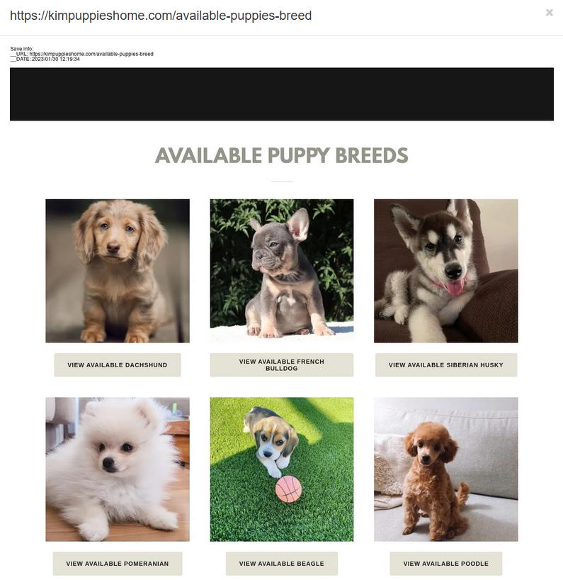 aa419's tweet photo. Yay! #Petscam /benpuppieshome.com is down
Welcome #Petscam /kimpuppieshome.com to take it's place.
(no, it's not the same snapshot)
Somebody paid @Godaddy stolen $$$ to continue.
Yay, more #IDTheft #Moneylaundering #Fraud #Privacyabuse https://t.co/pL1pKO6W30