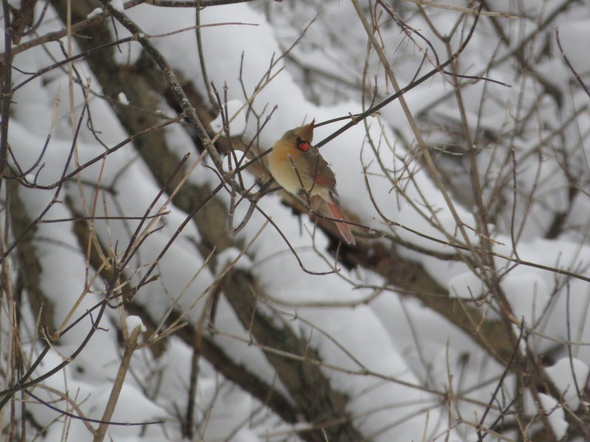 PLKlein_Author's tweet photo. "If all you did today was to make someone else happy, then you had a pretty good day." ~ #Unknown #thinkingoutloud #quickquotes #MondayMoment #MondayMotivation #Today #MakeSomeoneHappy #PrettyGoodDay https://t.co/5iv5QxoYFT