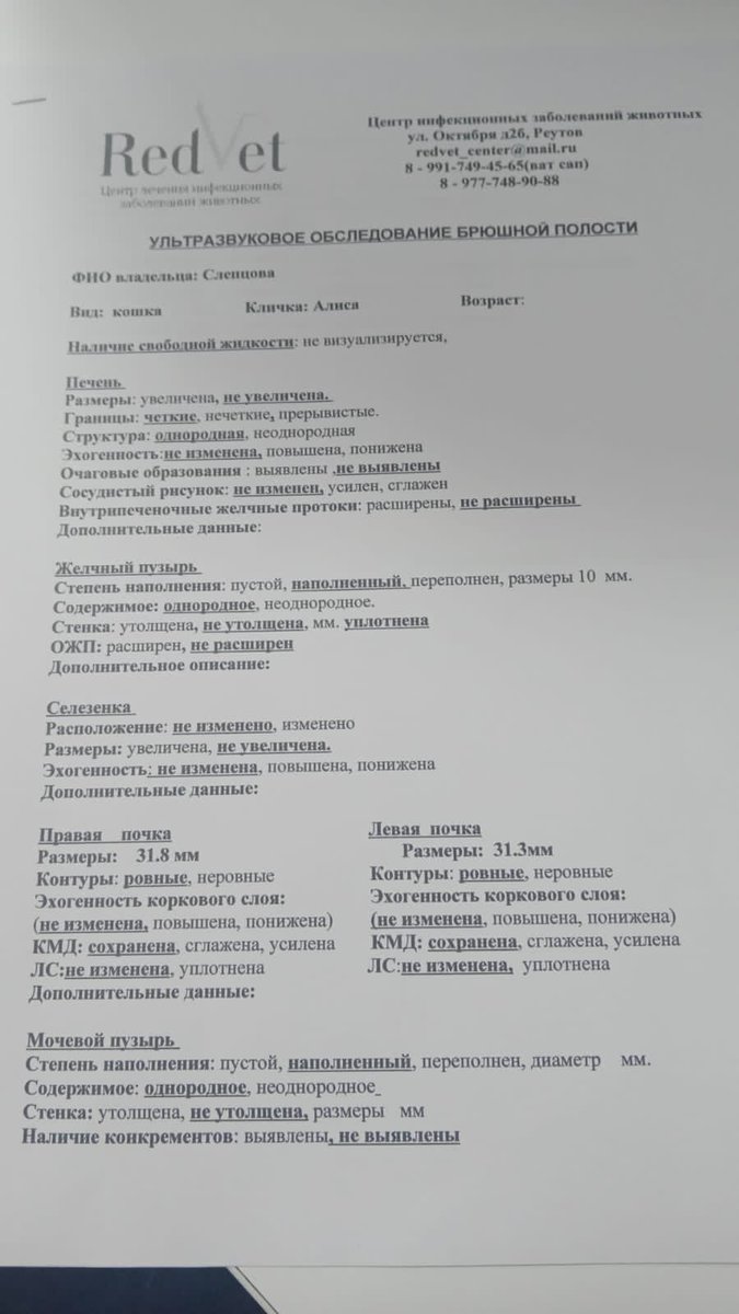 teacherrka's tweet photo. Друзья, помогите пожалуйста нашей Алисе 🥺 малышка не может нормально писать, узи мы сделали, нужна помощь на прием у врача ортопеда + кт или рентген, помогите пожалуйста 🙏🏻 
Рек��изиты: 4279 3610 0268 7541 
Тамара .Е 
Или по номеру: 
8-936-001-36-46
С пометкой «Алиса» https://t.co/UmZbA3LqNM