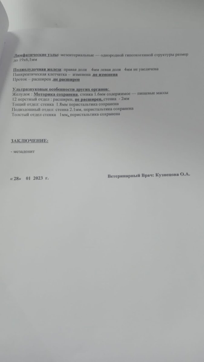 Друзья, помогите пожалуйста нашей Алисе 🥺 малышка не может нормально писать, узи мы сделали, нужна помощь на прием у врача ортопеда + кт или рентген, помогите пожалуйста 🙏🏻 
Реквизиты: 4279 3610 0268 7541 
Тамара .Е 
Или по номеру: 
8-936-001-36-46
С пометкой «Алиса»