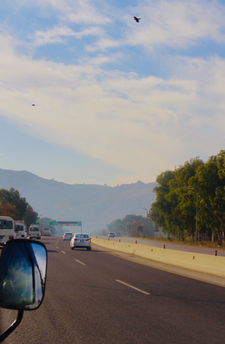 Areena Mubarak tweet media