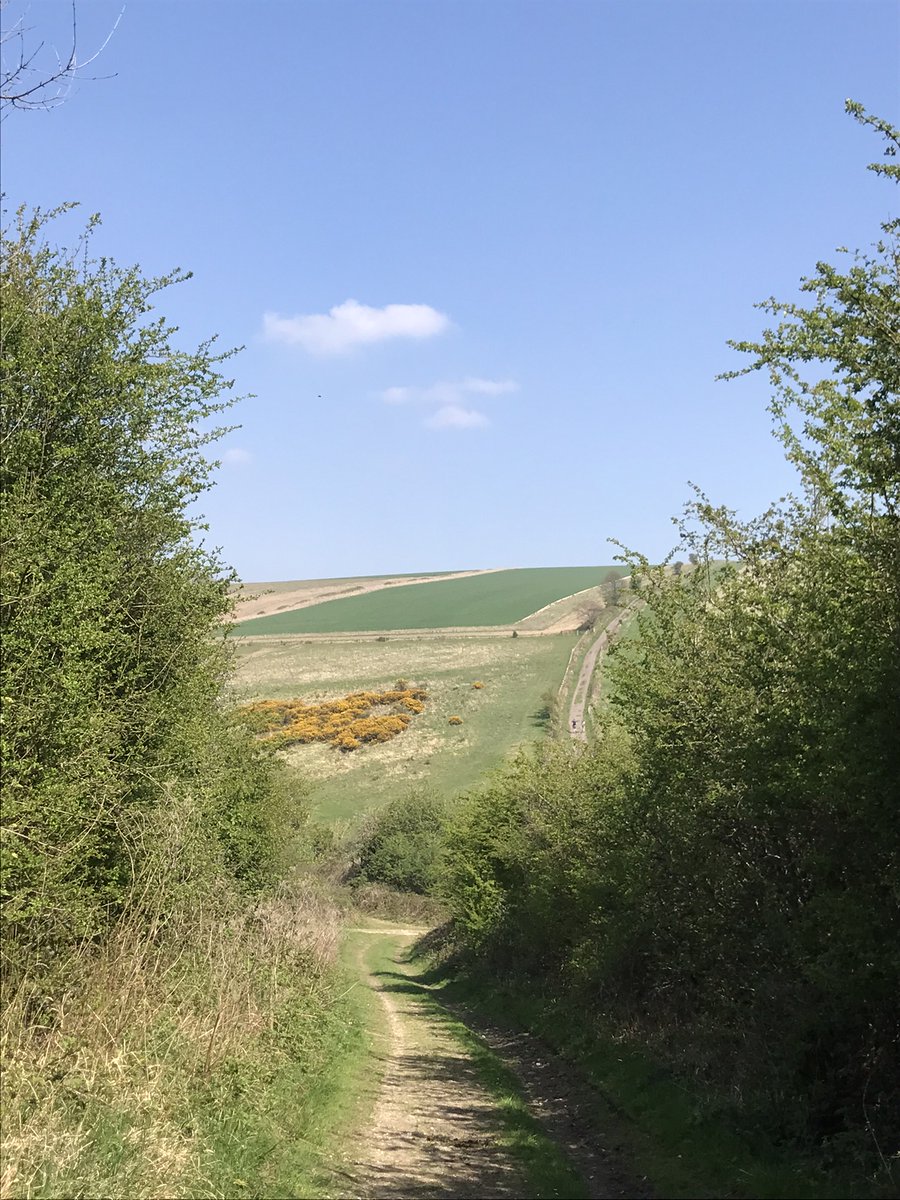 FriendSouthDwns's tweet photo. Why is it important to protect National Parks? Here's my answer worth a thousand words ⬇️
https://t.co/kBgzHHJpgx
#southdownsnationalpark #protectedlandscape https://t.co/pwrpYwN5UT