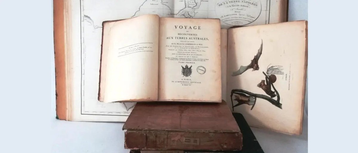 Jaune_Rouge's tweet photo. 📜HISTORIX📜 Alain Brachon (X63) nous raconte les péripéties du vaisseau Baudin chargé par #Bonaparte de la découverte de l’hémisphère australe avec 6 #polytechniciens : deux #ingénieurs géographes, un #minéralogiste et trois aspirants de #marine
➡️https://t.co/6w0wD7dmq0 https://t.co/8wfWz19Rj1
