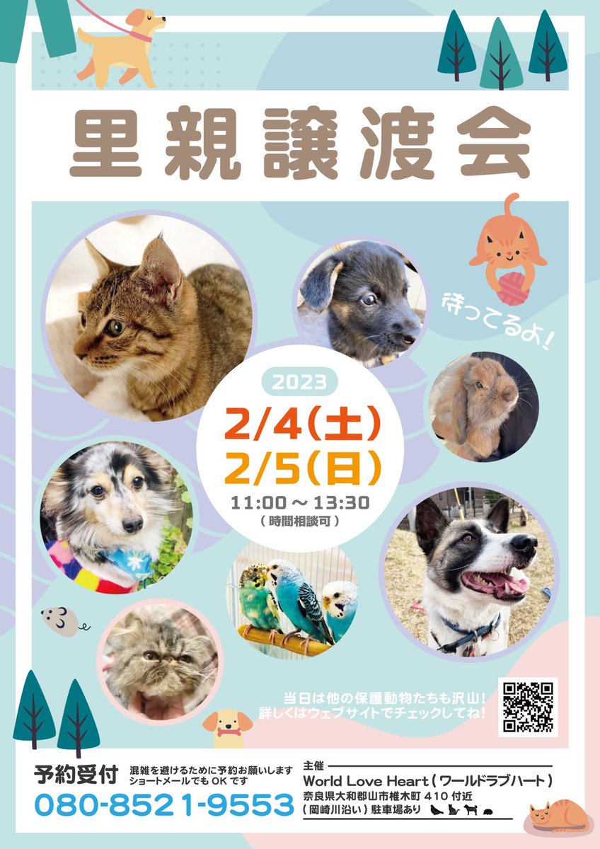ribbon_shelter's tweet photo. 週末は、ぜひ譲渡会に❣️
よいお天気だといいなぁ〜と願います🤲
たくさんの動物たちが、本当の家族を待っています。
よろしくお願いします🥺
ボランティア活動を一緒にしてくださる方も大募集中です❣️ https://t.co/mz2Nksuk7H