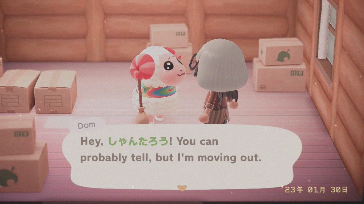 seanecal_'s tweet photo. Ungifted Dom in boxes now!!! If ur interested dm me! I’m looking for NMTs and bells!!! #acnhtrade #acnhvillagertrade #acnhvillagerinboxes https://t.co/P7Pau0mGaT