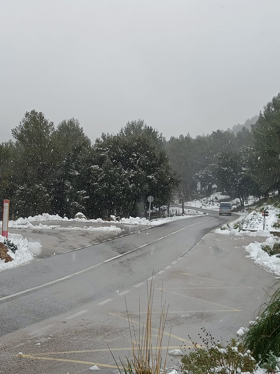 LopezRaffaello's tweet photo. Sierra d Mallorca,100% practicable.
5cm nieve en Cuber,en vez d activar dispositivo pr regular q familias puedan llevar sus hijos a ver la nieve,prefieren cortar carreteras q antes d cierto virus sí se podía ir.@UHmallorca @diariomallorca @telediarios_tve @goib @Emergencias_112 https://t.co/saKJ3bQd4i