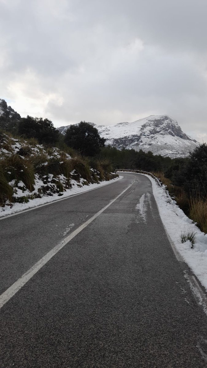 LopezRaffaello's tweet photo. Sierra d Mallorca,100% practicable.
5cm nieve en Cuber,en vez d activar dispositivo pr regular q familias puedan llevar sus hijos a ver la nieve,prefieren cortar carreteras q antes d cierto virus sí se podía ir.@UHmallorca @diariomallorca @telediarios_tve @goib @Emergencias_112 https://t.co/saKJ3bQd4i