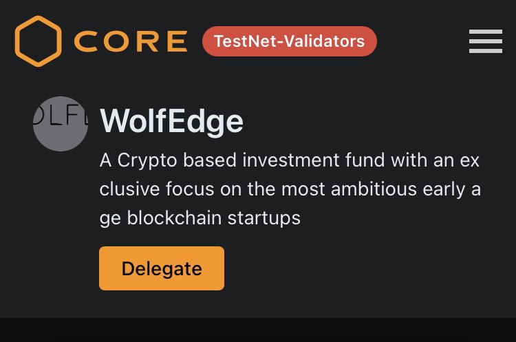 Satoshi⚡️CORE 🔶⛓️ tweet media
